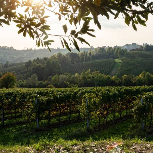 28 maggio Bollicine XP: il Prosecco nell'universo degli spumanti e le ragioni del suo successo